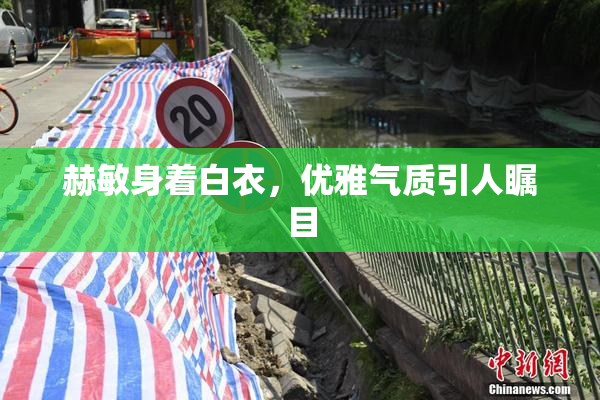 赫敏身着白衣，优雅气质引人瞩目