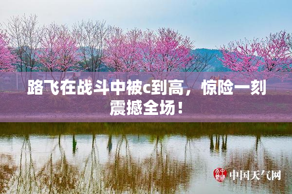 路飞在战斗中被c到高，惊险一刻震撼全场！