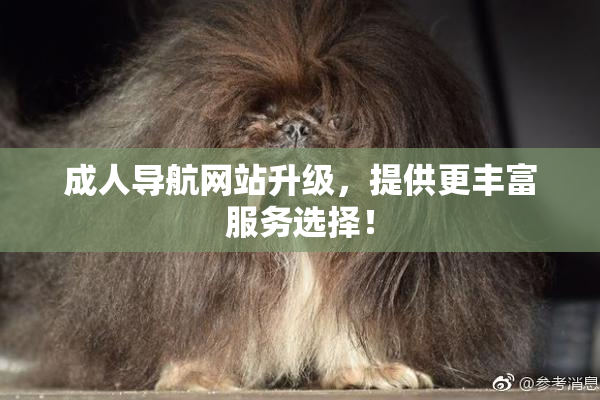 成人导航网站升级，提供更丰富服务选择！