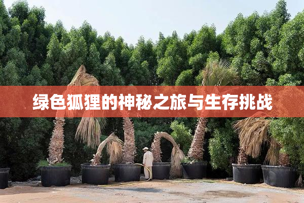 绿色狐狸的神秘之旅与生存挑战