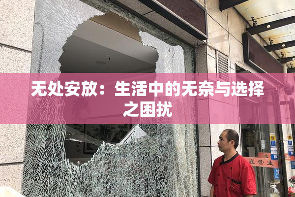 无处安放：生活中的无奈与选择之困扰