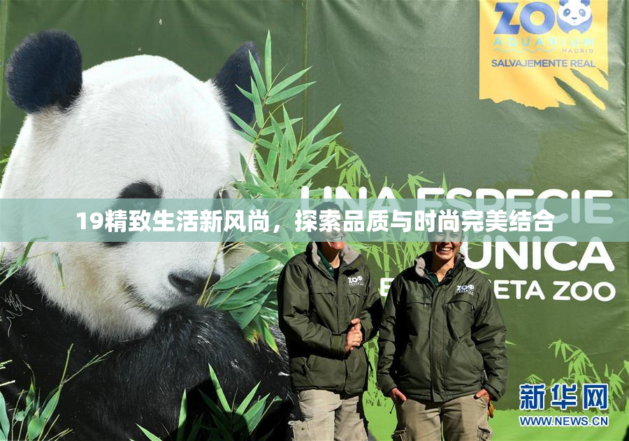19精致生活新风尚，探索品质与时尚完美结合