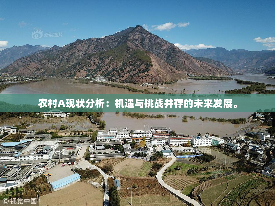 农村A现状分析：机遇与挑战并存的未来发展。