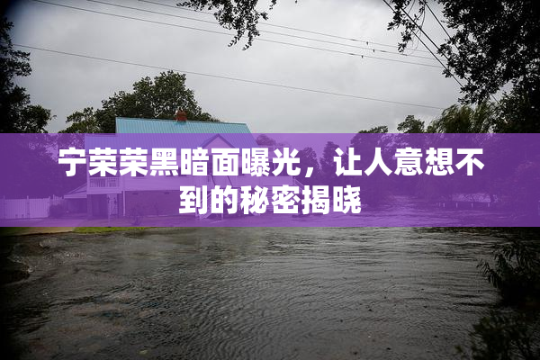 宁荣荣黑暗面曝光，让人意想不到的秘密揭晓