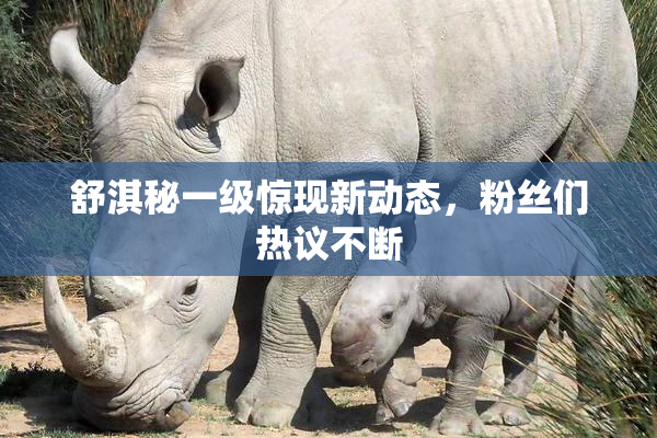 舒淇秘一级惊现新动态，粉丝们热议不断