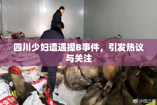 四川少妇遭遇搡B事件，引发热议与关注