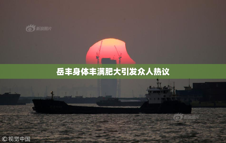 岳丰身体丰满肥大引发众人热议
