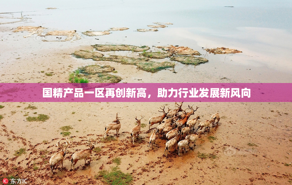 国精产品一区再创新高，助力行业发展新风向