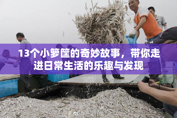 13个小箩筐的奇妙故事，带你走进日常生活的乐趣与发现