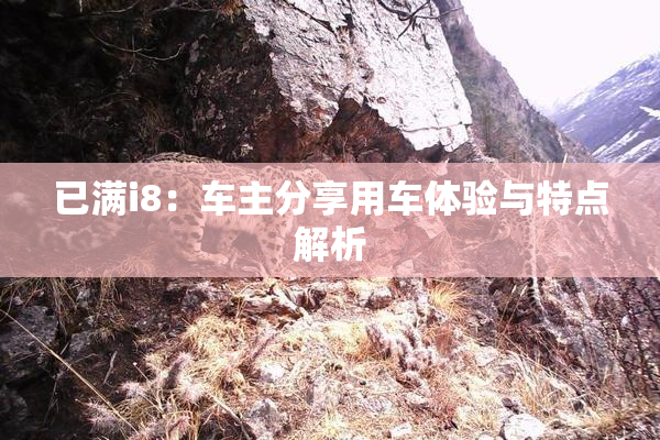 已满i8：车主分享用车体验与特点解析