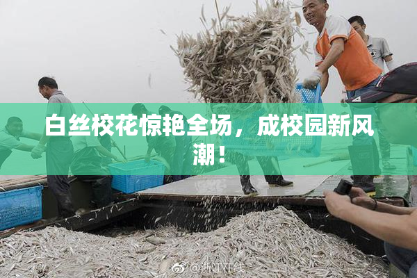 白丝校花惊艳全场，成校园新风潮！