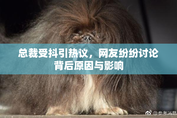 总裁受抖引热议，网友纷纷讨论背后原因与影响