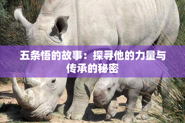 五条悟的故事：探寻他的力量与传承的秘密