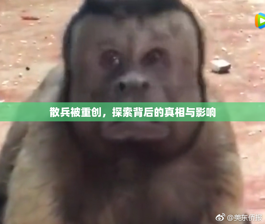 散兵被重创，探索背后的真相与影响