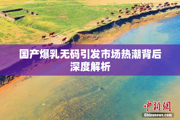 国产爆乳无码引发市场热潮背后深度解析