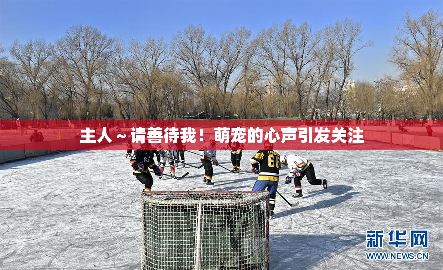 主人～请善待我！萌宠的心声引发关注