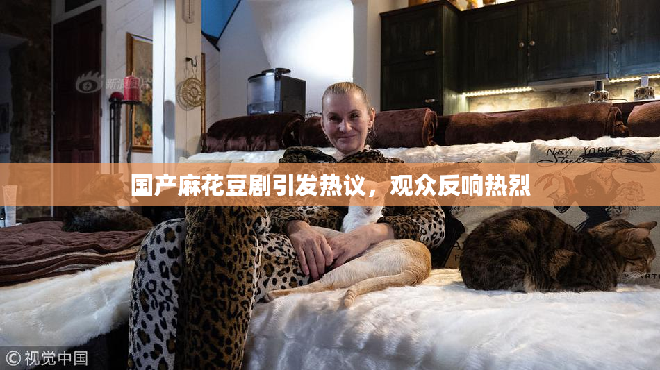 国产麻花豆剧引发热议，观众反响热烈