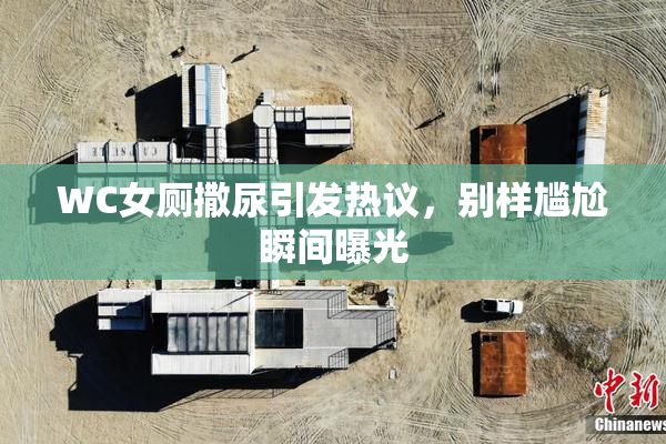 WC女厕撒尿引发热议，别样尴尬瞬间曝光