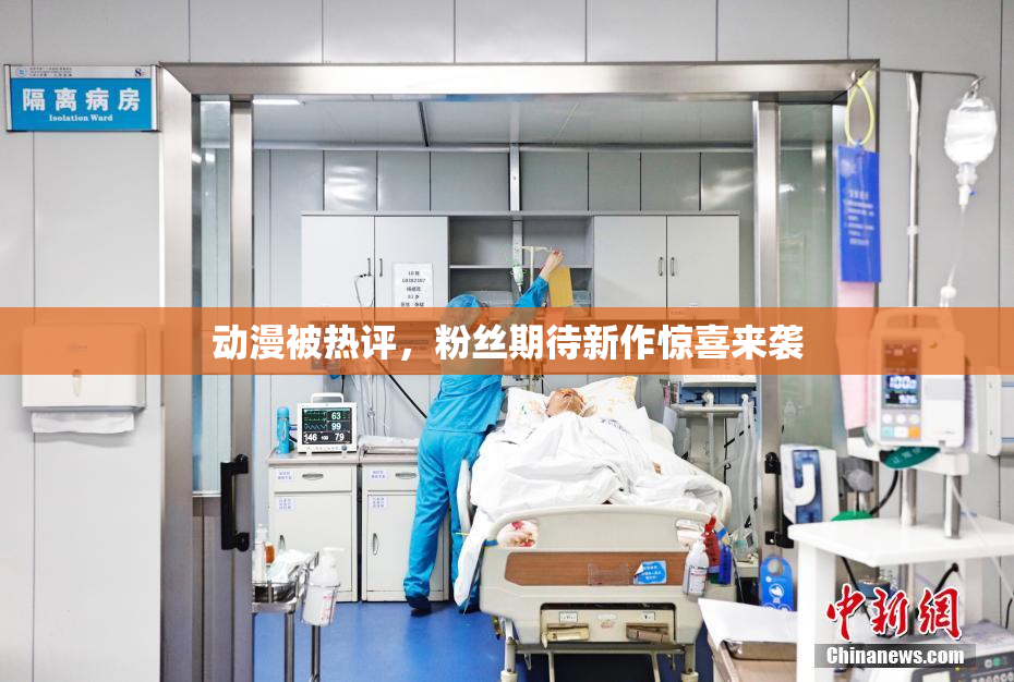 动漫被热评，粉丝期待新作惊喜来袭