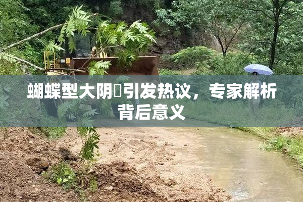 蝴蝶型大阴脣引发热议，专家解析背后意义