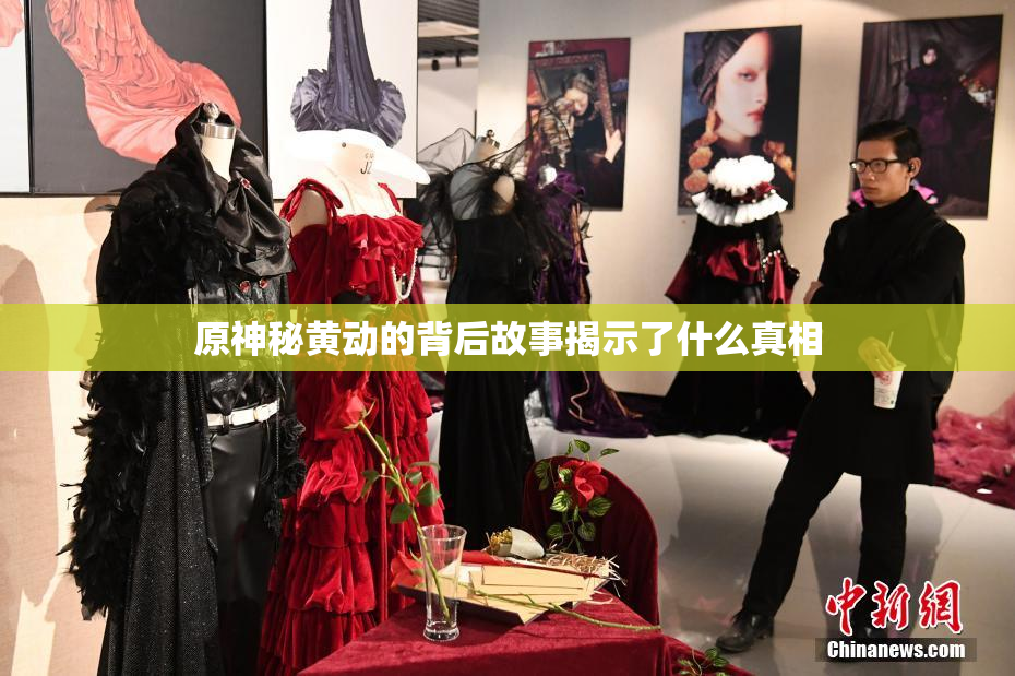 原神秘黄动的背后故事揭示了什么真相