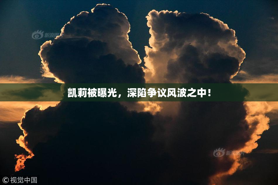 凯莉被曝光，深陷争议风波之中！