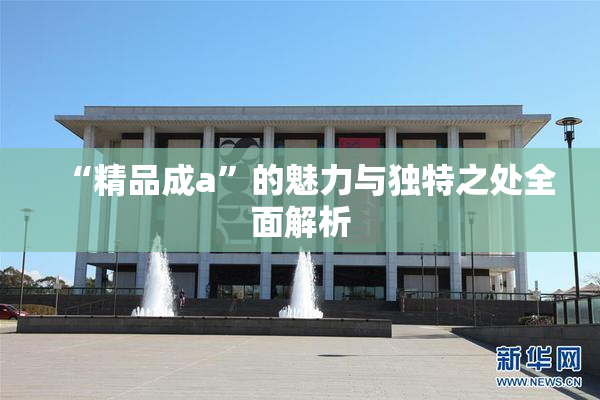 “精品成a”的魅力与独特之处全面解析