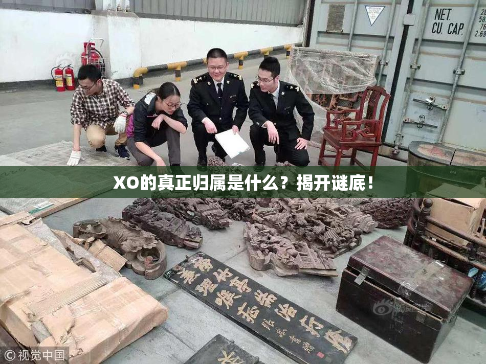 XO的真正归属是什么？揭开谜底！