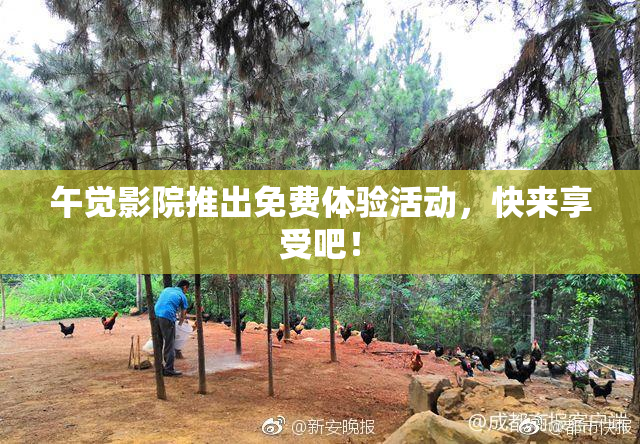 午觉影院推出免费体验活动，快来享受吧！